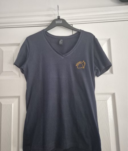 Ladies V neck fitted T Shirt